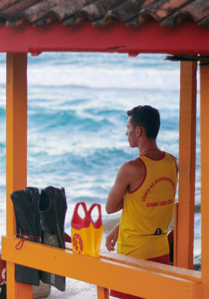 Sauveteur CAEPMNS 2024 LBFFSS